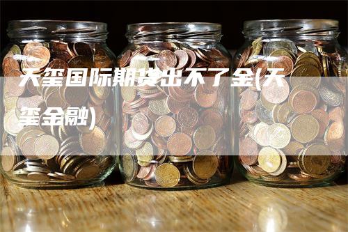 天玺国际期货出不了金(天玺金融)