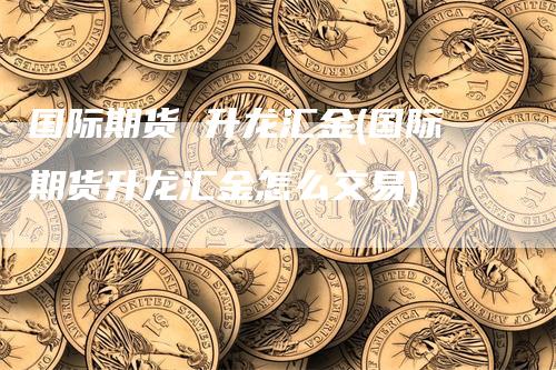 国际期货 升龙汇金(国际期货升龙汇金怎么交易)