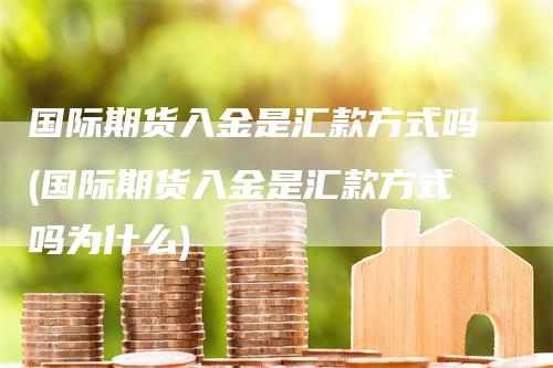 国际期货入金是汇款方式吗(国际期货入金是汇款方式吗为什么)