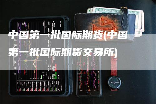 中国第一批国际期货(中国第一批国际期货交易所)