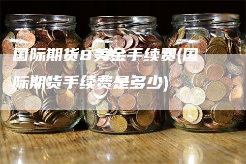 国际期货8美金手续费(国际期货手续费是多少)